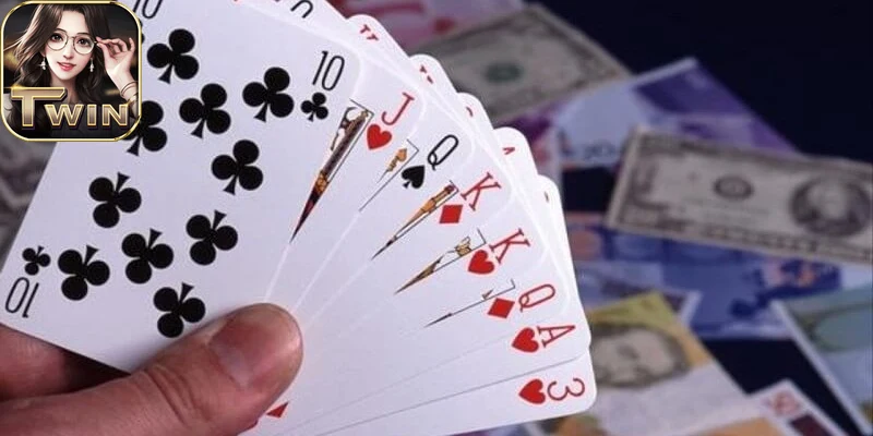 Hình ảnh chương trình khuyến mãi độc quyền tại twin68