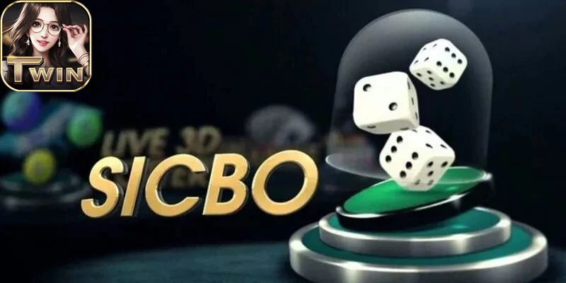 Người chơi trải nghiệm dịch vụ với điều khoản minh bạch twin68